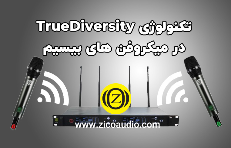 true diversity چیست