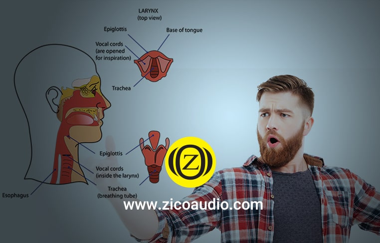 تمرینات صدا سازی