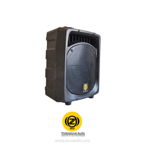 باند فول رنج پسیو 12 اینچ زیکو 022